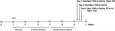 Aromatization Is Not Required for the Facilitation of Appetitive Sexual Behaviors in Ovariectomized Rats Treated With Estradiol and Testosterone